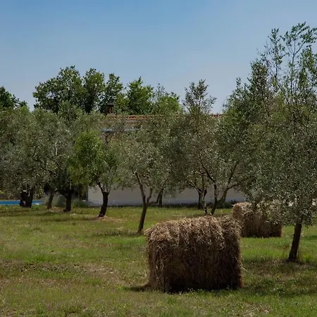 Secluded House In The Nature Valtura