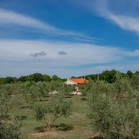 Secluded House In The Nature Holiday home Valtura