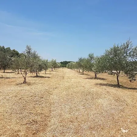 Secluded House In The Nature * Valtura