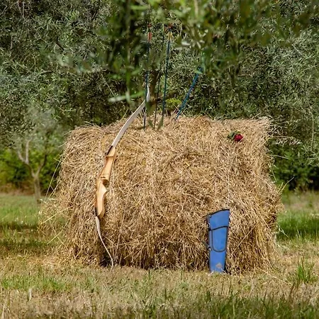 Casa vacanze Secluded House In The Nature
